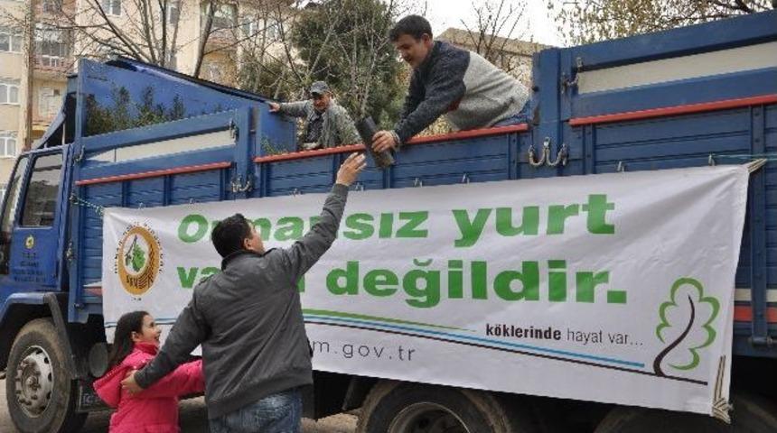 3 Bin 500 Adet Fidan Dağıtıldı
