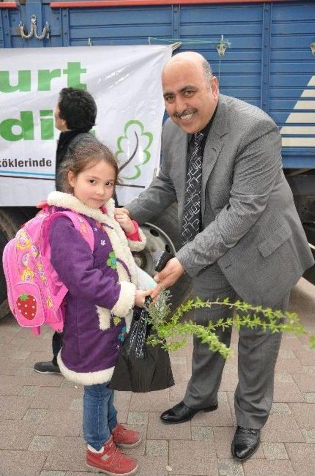 3 Bin 500 Adet Fidan Dağıtıldı 1