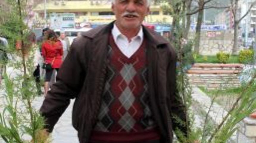 Muğla&rsquo;da 5 Bin Adet Fidan Dağıtıldı