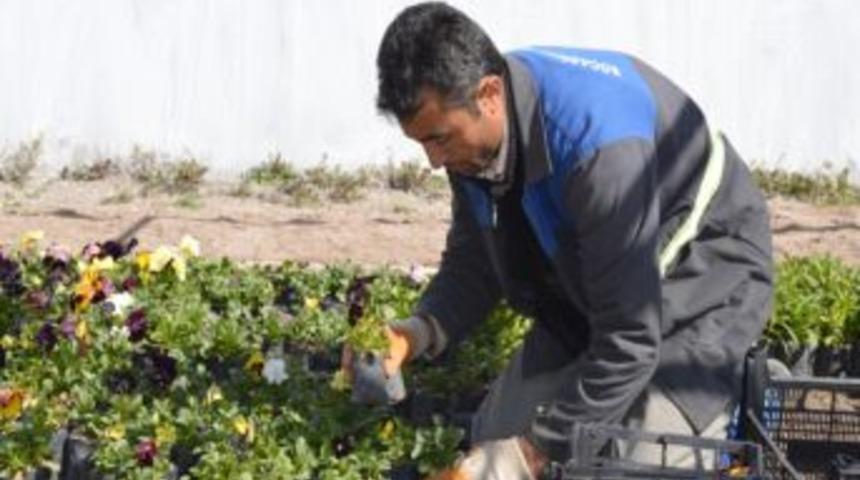 Başkan Yıldız: 2013'te Yeşil Alan Miktarını Arttıracağız