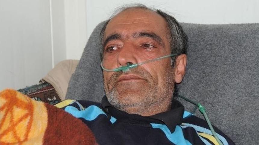 Konteynır Kentte Makineye Bağlı Yaşıyor