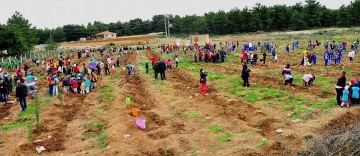 K&uuml;&ccedil;&uuml;k Eller Kocaman &Ccedil;ınarlara Hayat Verdi