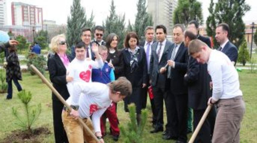 Down Sendromlular Isimlerini Taşıyan 120 Ağa&ccedil; Dikti