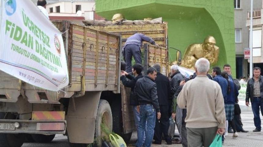 Turgutlu'da 10 Bin Fidan Dağıtıldı