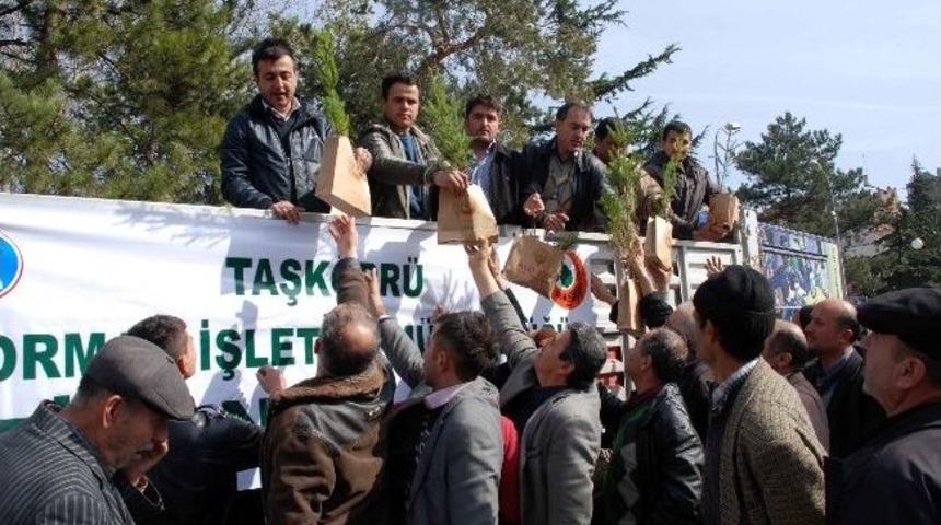 Taşk&ouml;pr&uuml;'de 2 Bin Fidan Dağıtıldı