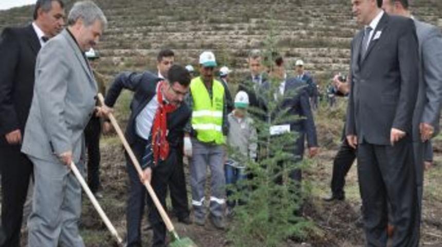 Balıkesir'de 43 Yılda 930 Bin Hektar Bozuk Ormanlık Alan Rehabilite Edildi