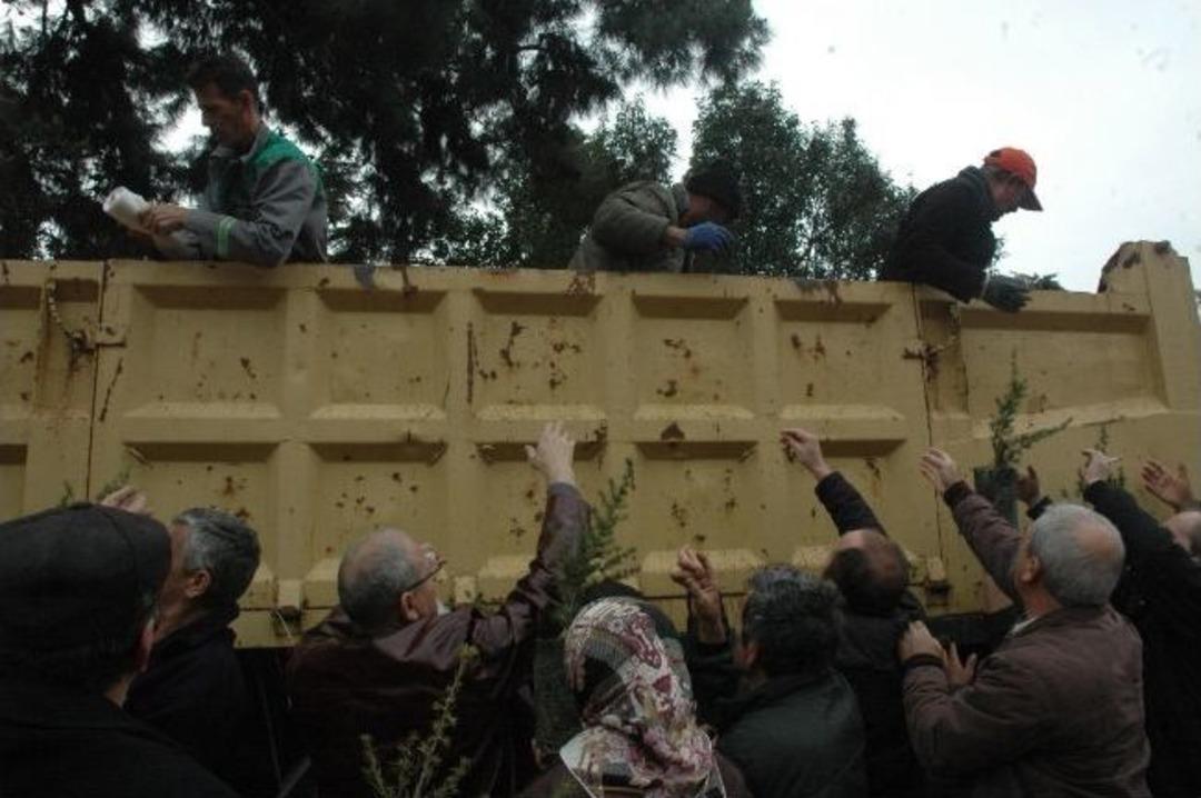 Tekirdağ'da Bedava Fidan İzdihamı