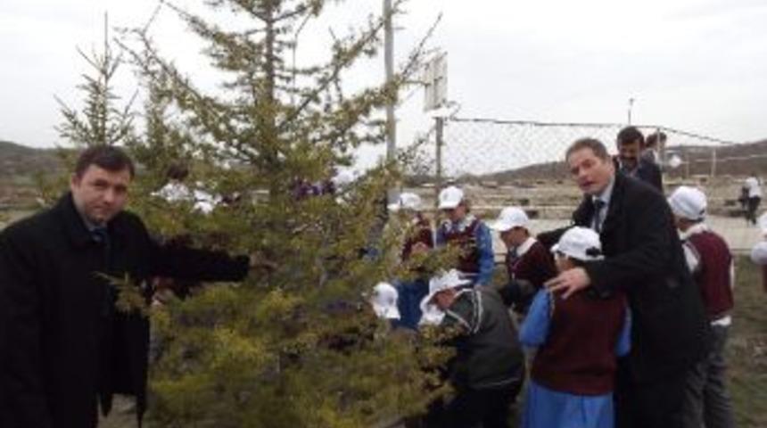 Daday&rsquo;da Orman Haftası Kutlandı