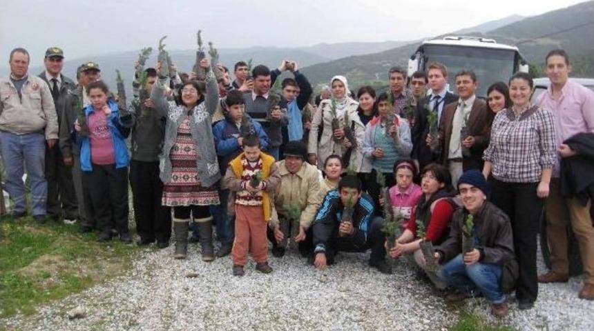 Uygulama Merkezi &Ouml;ğrencileri G&ouml;lc&uuml;k Yolunda Fidan Dikti