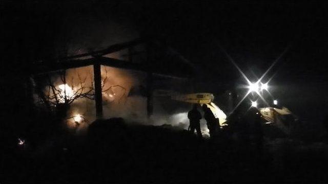 Yalova da Alevli Gece 1