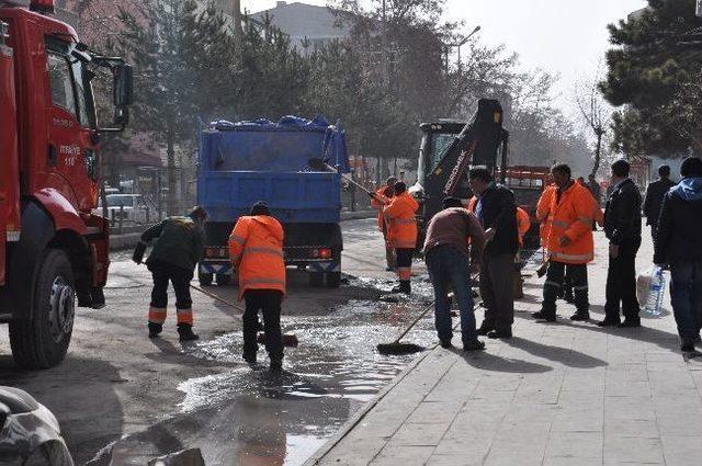 Tatvan’da Bahar Temizliği