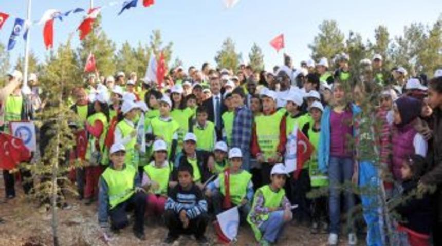 ŞAHMEK Kursiyerleri, Fidan Dikti