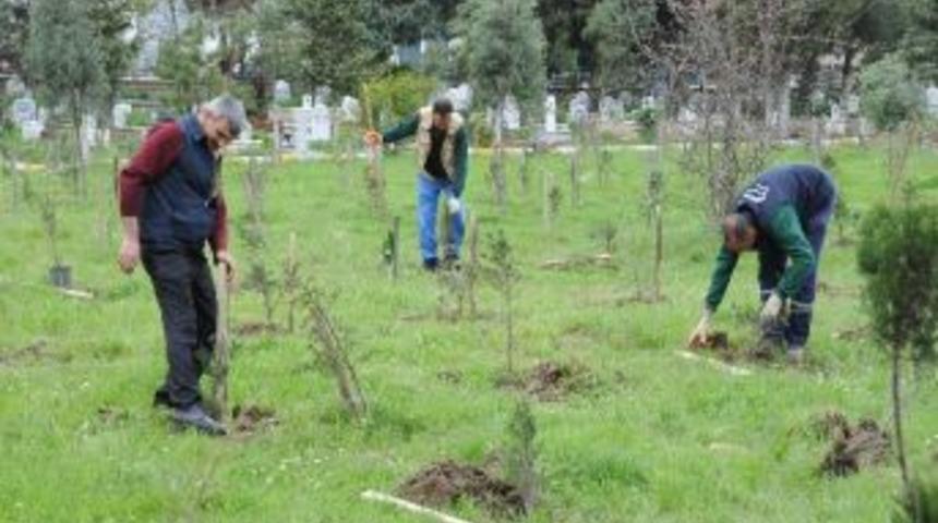 Başiskele'deki Mezarlıklar Bakımda