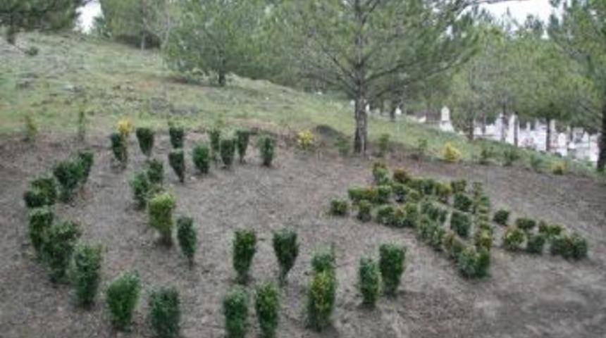 Karşıyaka Şehitliğinde &Ccedil;evre D&uuml;zenlemesi Yapıldı