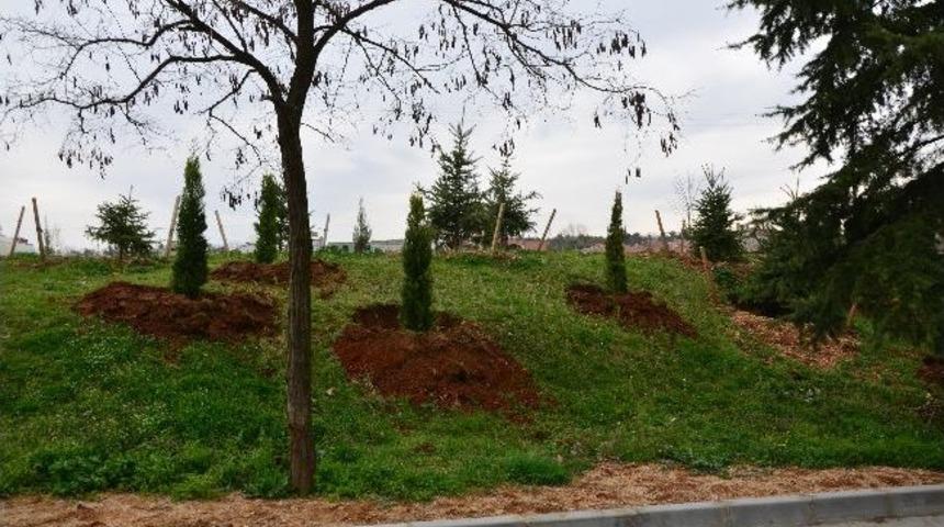 Babaeski Yaza Hazırlanıyor