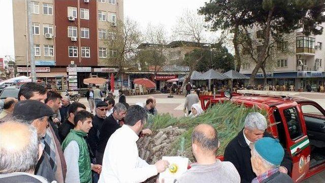 Köşk’te 750 Adet Fıstık Çamı Fidanı Dağıtıldı