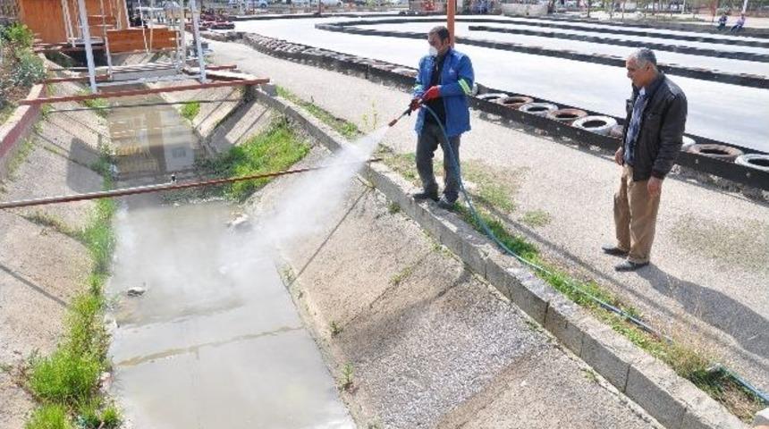 Kozan'da Haşereye Karşı Larva M&uuml;cadelesi Başladı