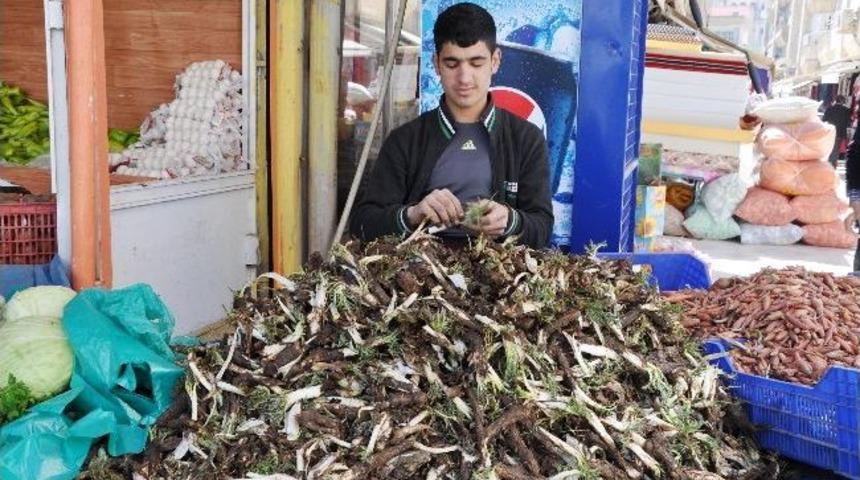 Kızıltepe'de Kengere B&uuml;y&uuml;k İlgi