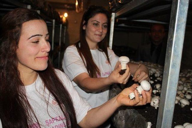 Tuncelili Kadınlar K&uuml;lt&uuml;r Mantarı &Uuml;retiyor 1