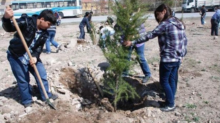 Melikgazi&rsquo;de Fidan Dikimi &Ccedil;alışmaları Başladı