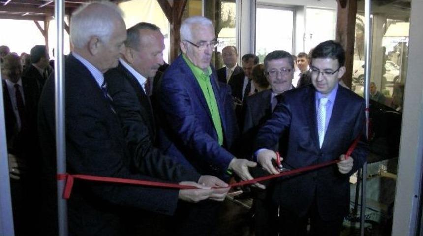 Ak&ccedil;akoca'da Orman Haftası Kutlanıyor