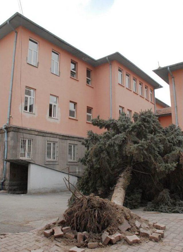 Kayseri’de Fırtına: Çatılar Uçtu, Ağaçlar Devrildi