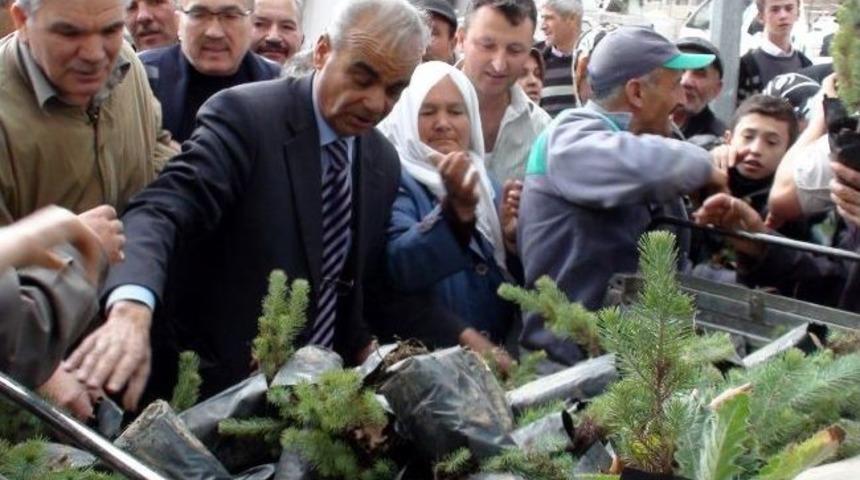 Gediz'de Vatandaşlara 3 Bin 800 Ağa&ccedil; Fidanı Dağıtıldı