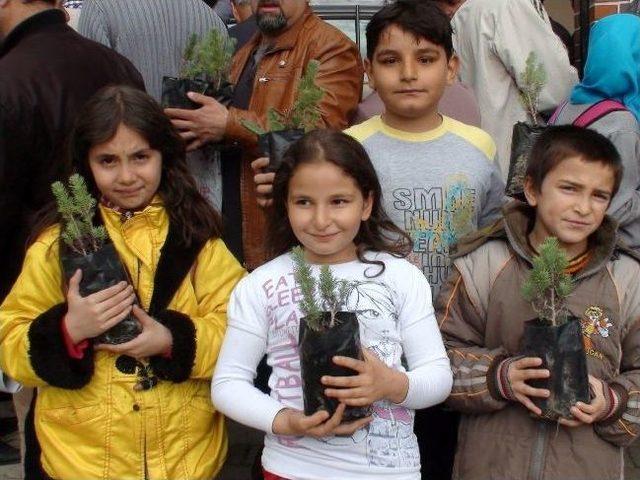 Gediz'de Vatandaşlara 3 Bin 800 Ağaç Fidanı Dağıtıldı