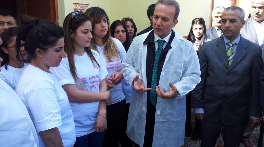 'Şapkalı Mantar' Işsiz Kadınlara Umut Oldu