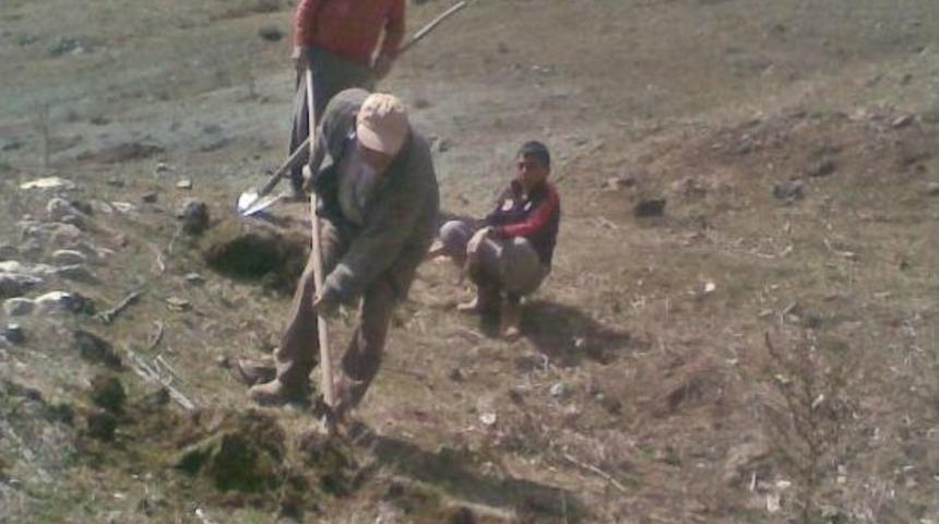 Sungurlu'da 750 Fidan Toprakla Buluştu