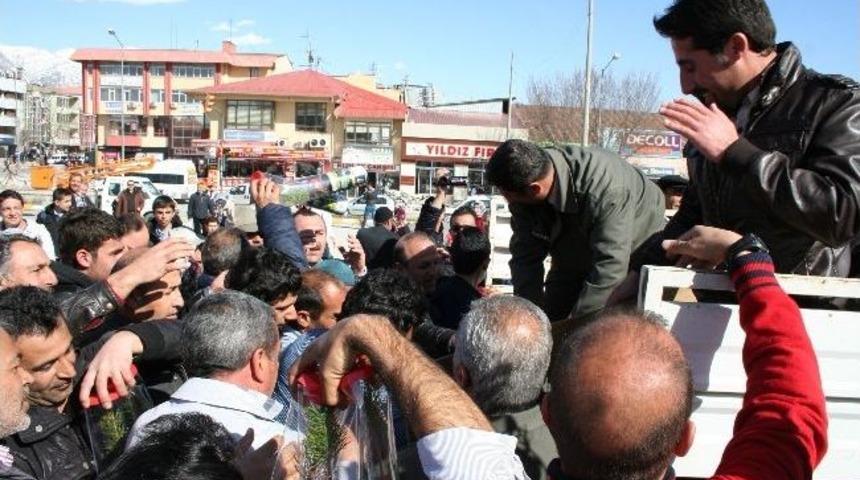 Fidan Alabilmek İ&ccedil;in Yarıştılar