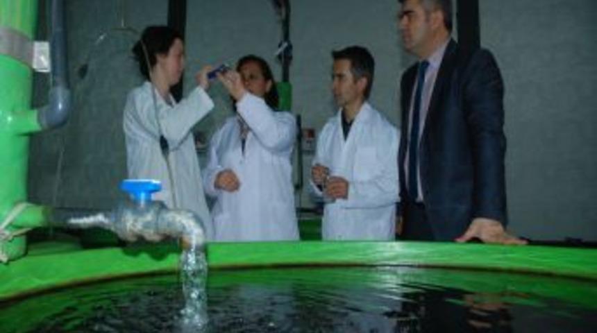 &Uuml;niversiteden Balık &Uuml;reticilerine Yem Desteği