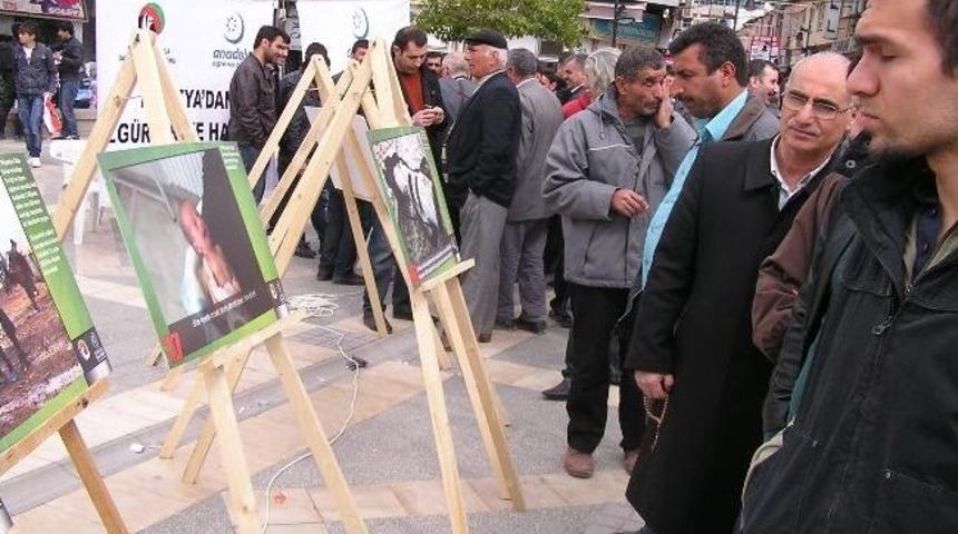 &ldquo;fotoğraflarla Suriye Ger&ccedil;eği Sergisi&rdquo; A&ccedil;ıldı