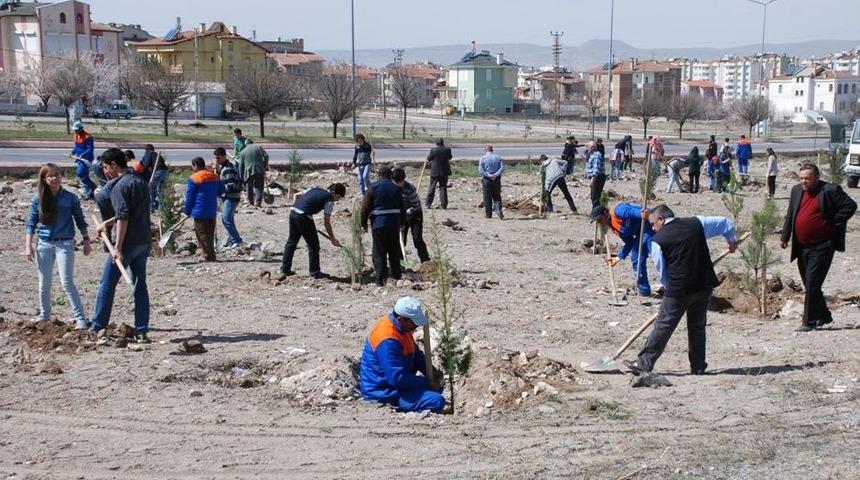 Nevruz Bayramı'nda 3 Bin Fidan Toprakla Buluştu