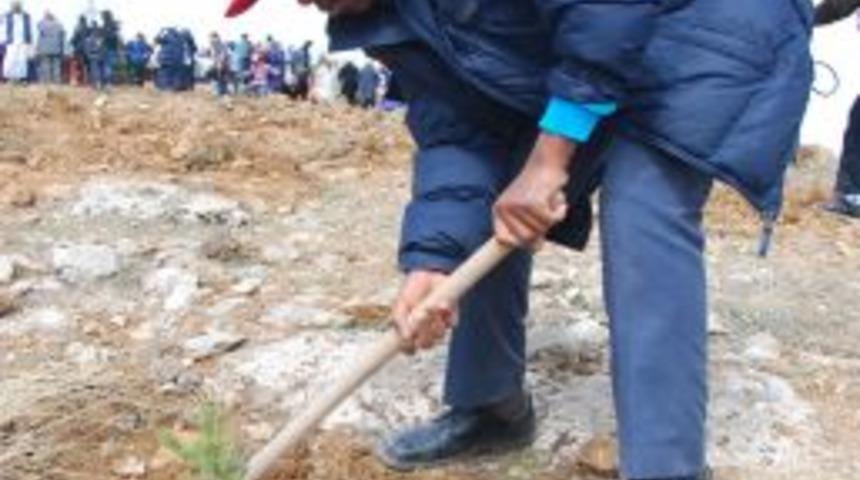 Konya, 9 Yılda 13 Milyon Fidanı Toprakla Buluşturdu