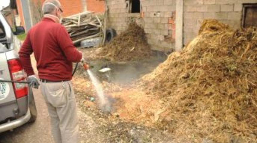 Orhangazi Belediyesi Larva M&uuml;cadelesine Başladı