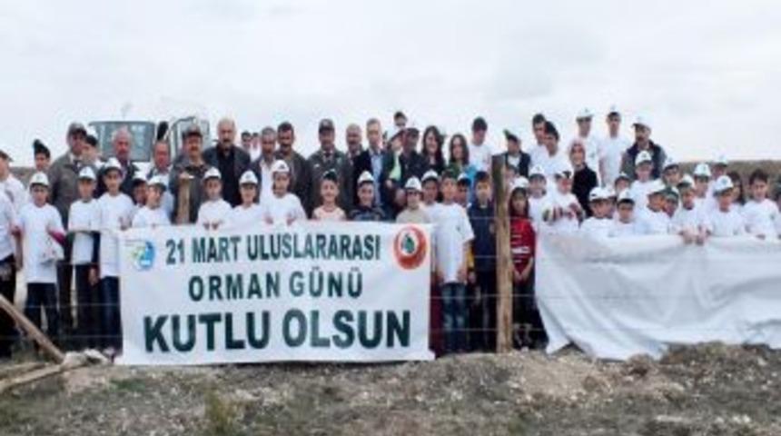 Taşk&ouml;pr&uuml;&rsquo;de 50 Bin Fidan Toprakla Buluştu