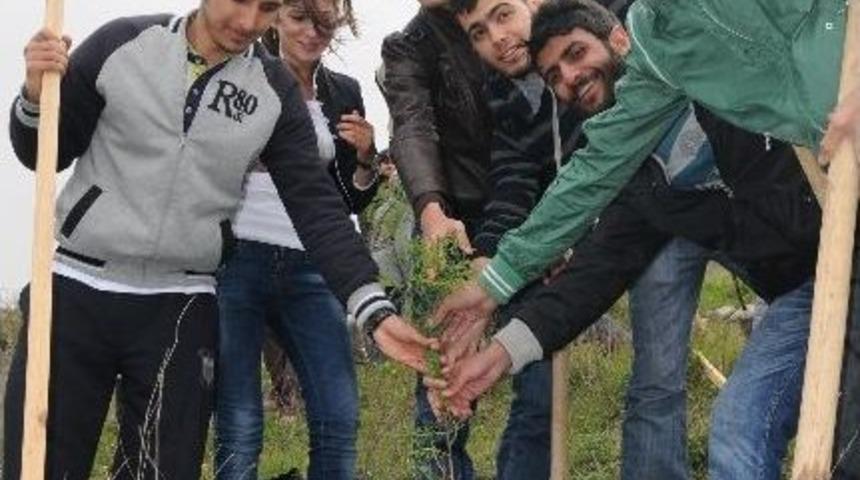 Y&uuml;zlerce Fidan Toprakla Buluştu