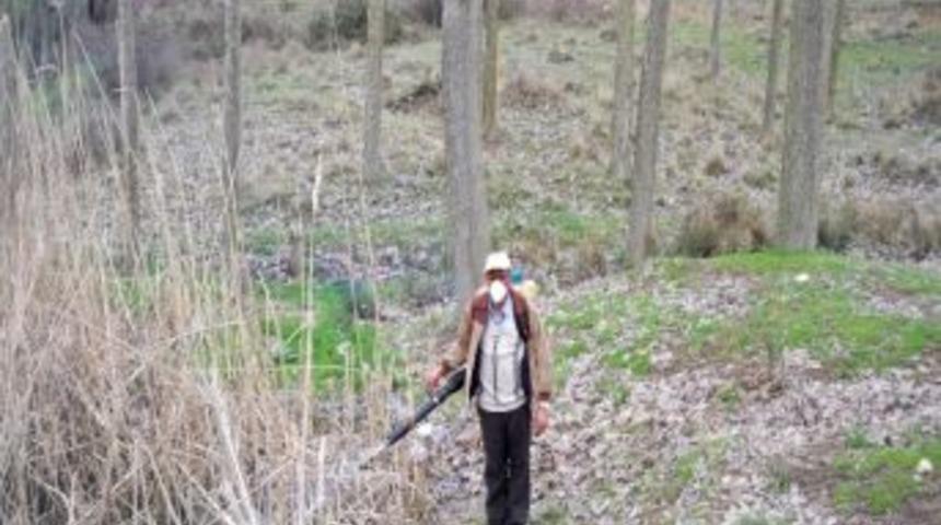 Malkara Belediyesi Sinek Ve Sivrisinek Larva M&uuml;cadelesine Başladı