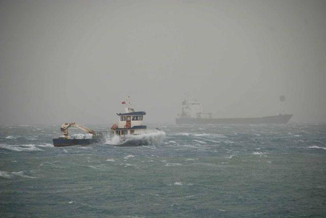 K&ouml;rfezde Fırtına Ağa&ccedil;ları S&ouml;kt&uuml; 1