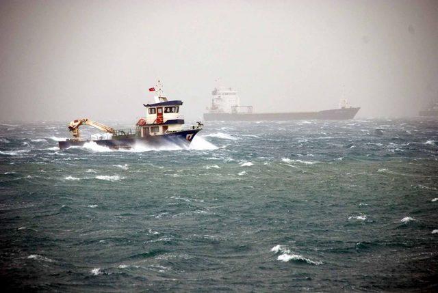 K&ouml;rfezde Fırtına Ağa&ccedil;ları S&ouml;kt&uuml; 2