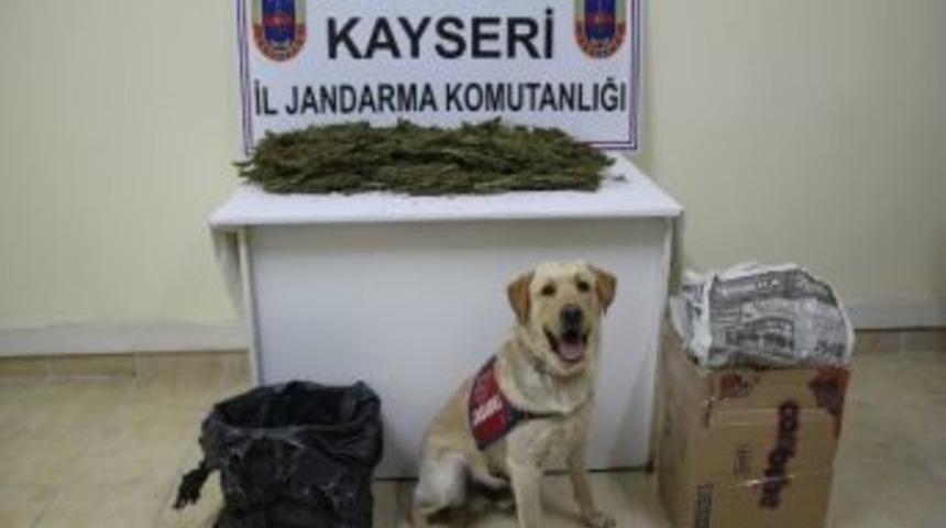 Yocu Otob&uuml;s&uuml;nde Esrar Ele Ge&ccedil;irildi