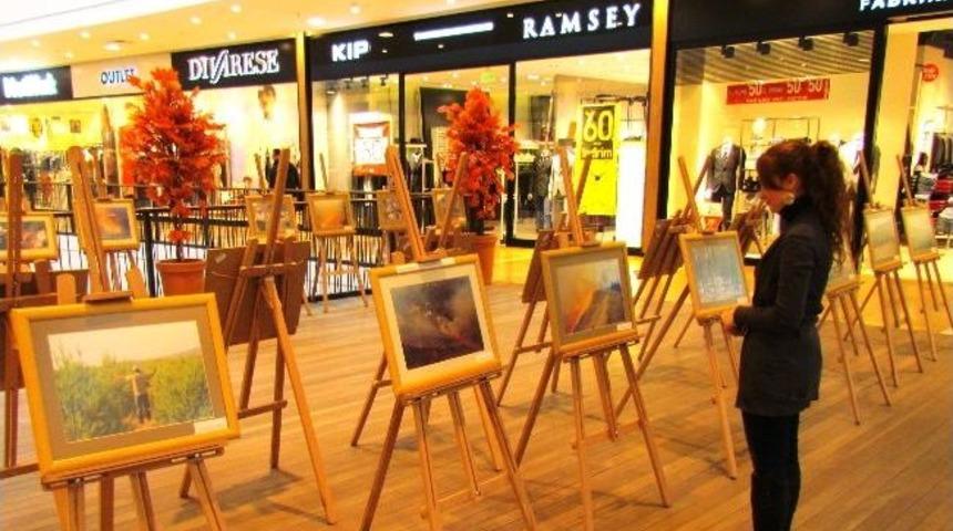 Optimum&rsquo;dan &Ccedil;eşme&rsquo;ye Orman