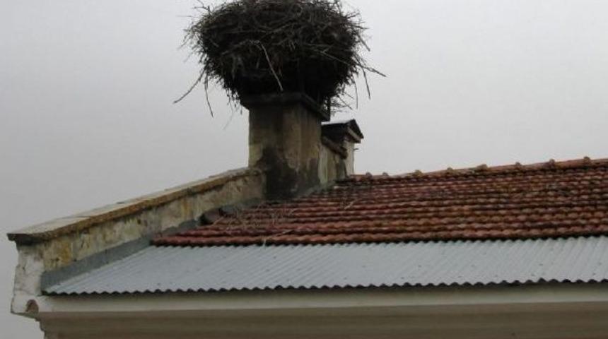 İlkbaharın M&uuml;jdecisi Leylekler, Erken Geldi