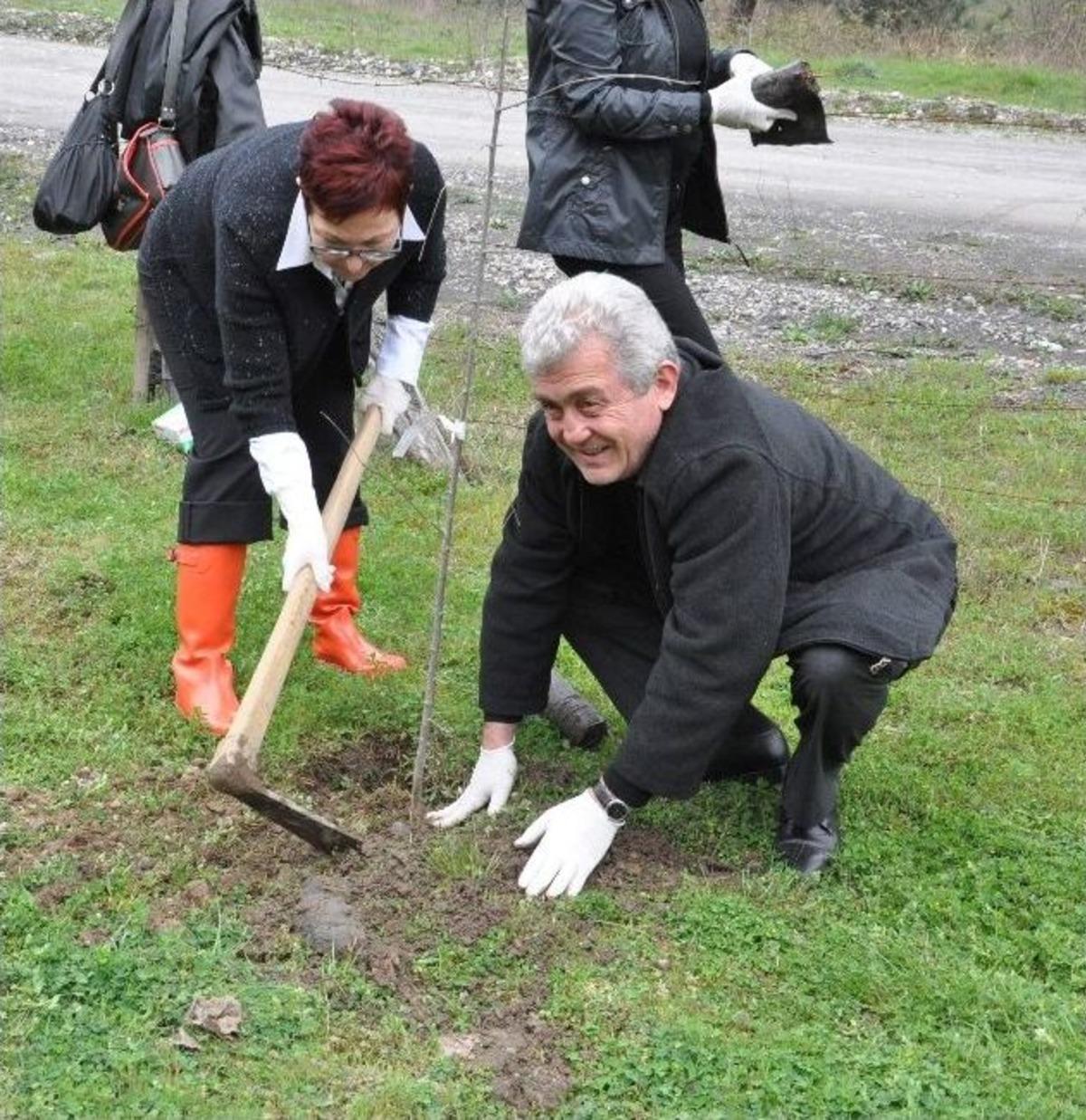 Tmmob Zonguldak İkk Kadın Komisyonundan, Fidan Dikimi