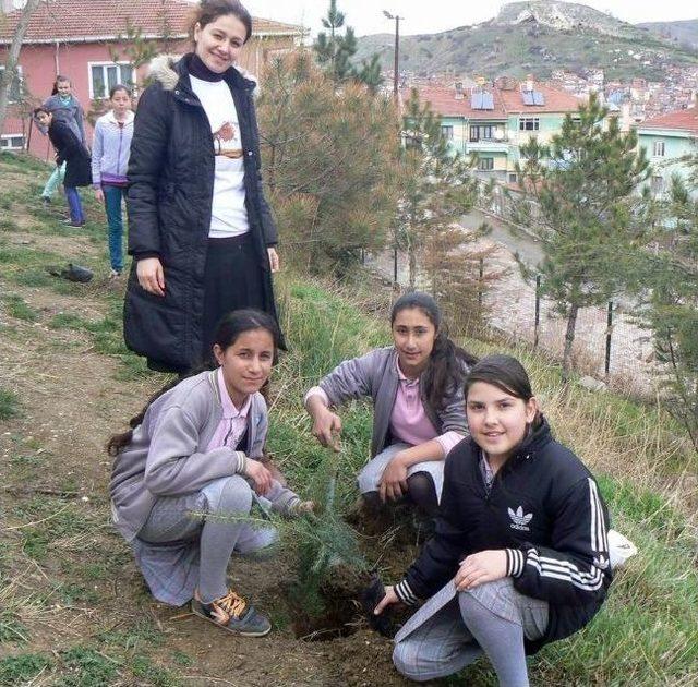 Bozüyük'te Öğrenciler Fidan Dikti