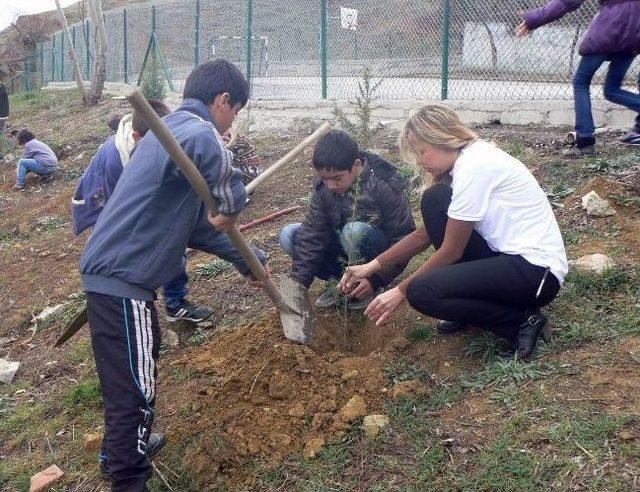 Bozüyük'te Öğrenciler Fidan Dikti