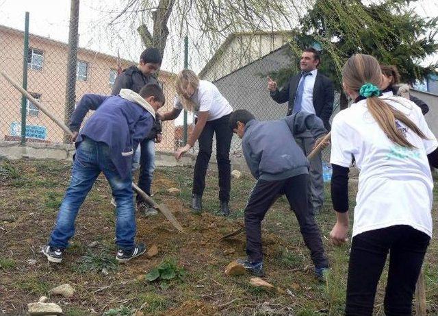 Bozüyük'te Öğrenciler Fidan Dikti