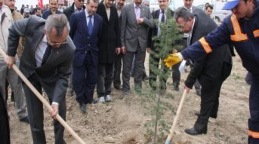 Karatay&rsquo;da 300 Fidan Toprakla Buluştu