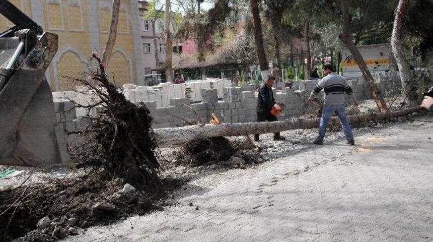 Osmaniye&rsquo;de Fırtına Ağa&ccedil;ları K&ouml;k&uuml;nden S&ouml;kt&uuml;